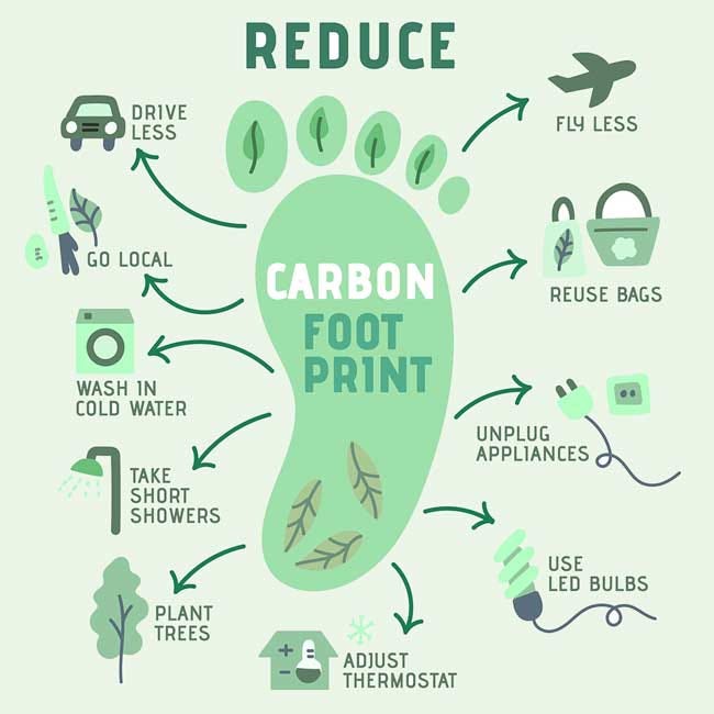 Exploring Sustainable Living